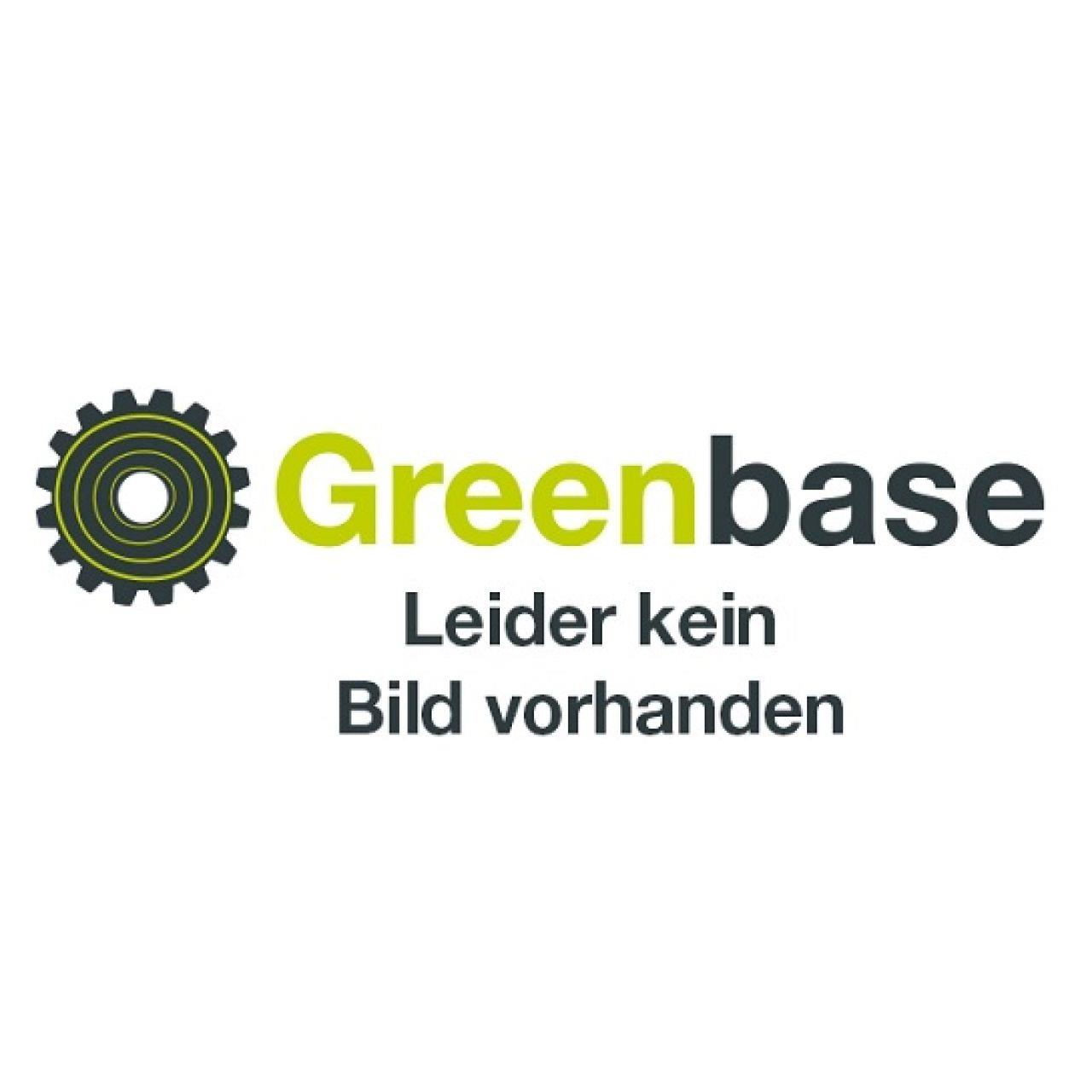 Brennholzspalter 10 Vario - Benzinmotor Honda